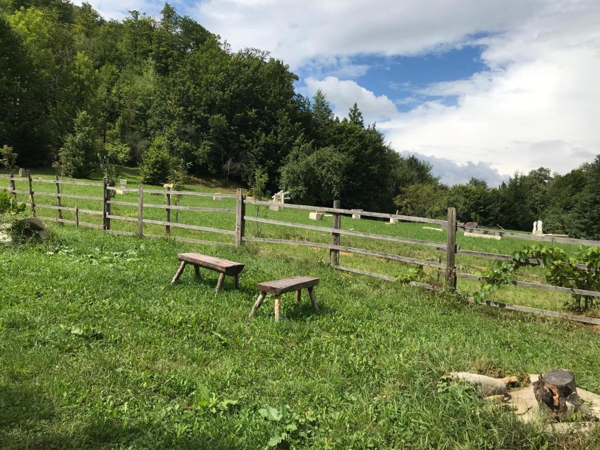 Séjour chez l'habitant Casutele Doftanei