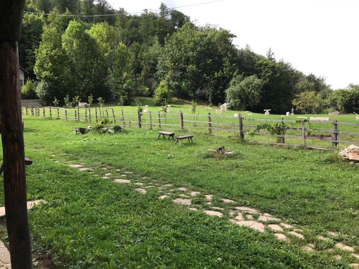 Séjour chez l'habitant Casutele Doftanei