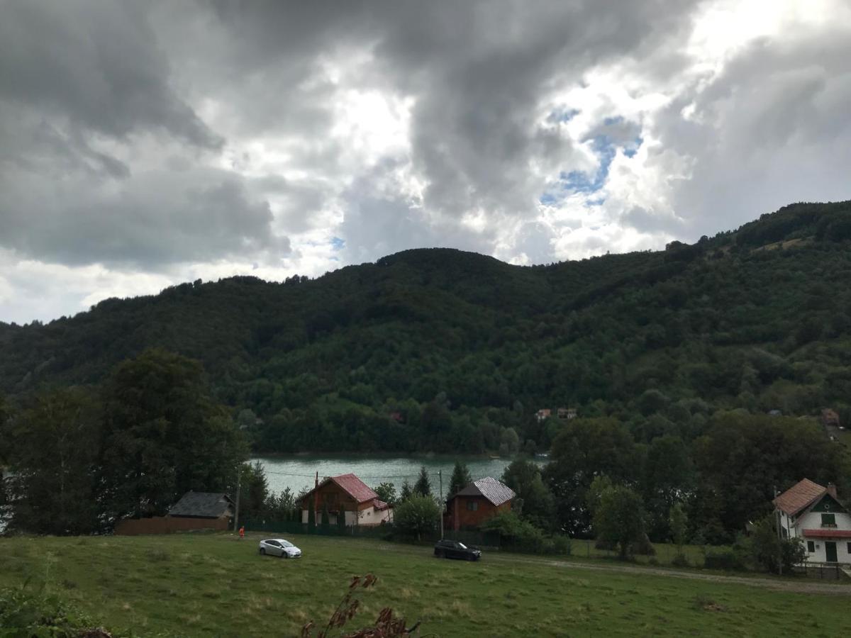Casutele Doftanei Séjour chez l'habitant Teşila