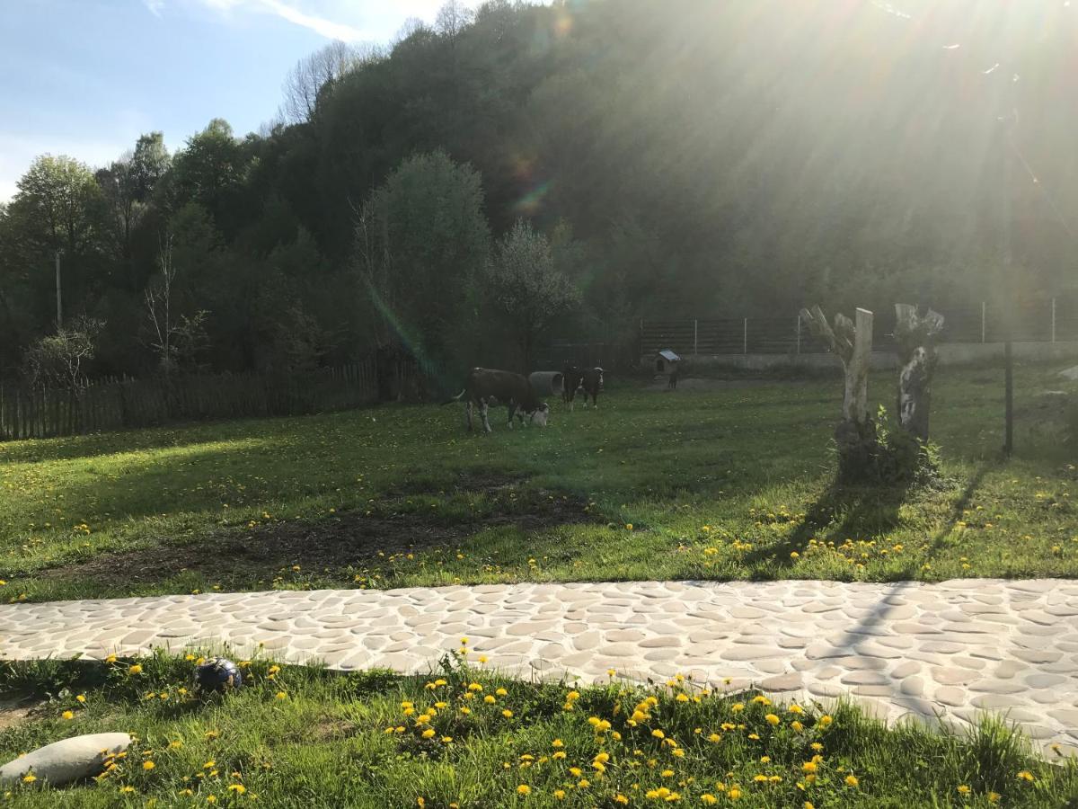 Séjour chez l'habitant Casutele Doftanei *