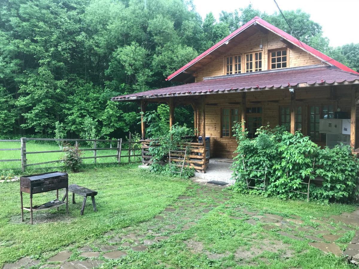 Casutele Doftanei Séjour chez l'habitant